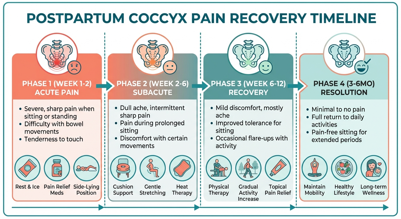 Postpartum coccyx pain recovery timeline showing 4 phases from acute week 1-2 through to resolution at 3-6 months
