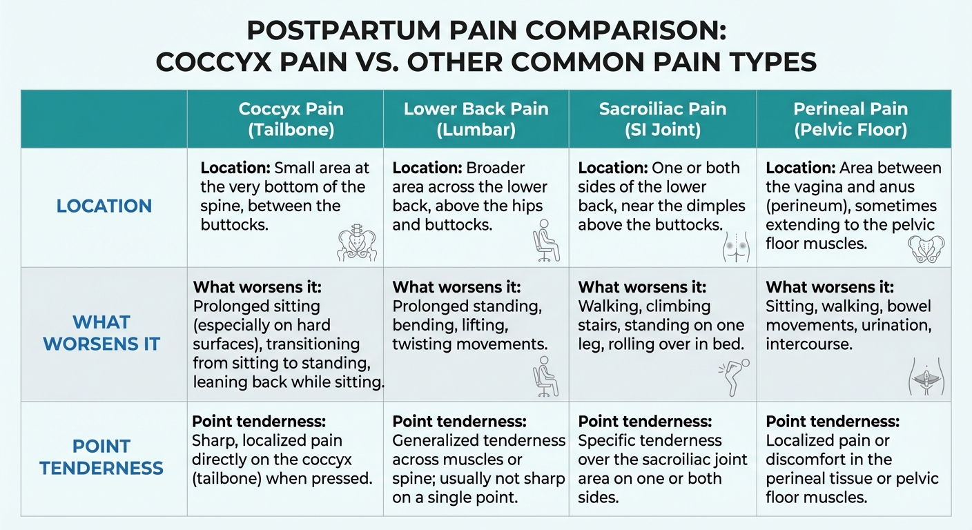 Postpartum pain comparison infographic: coccyx pain vs lower back pain vs sacroiliac pain vs perineal pain