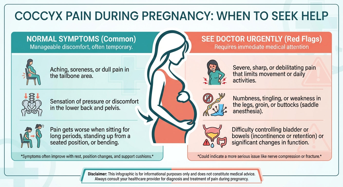Coccyx pain during pregnancy — normal symptoms vs when to see a doctor